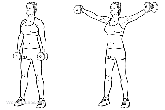 dumbbell_lateral_raise_power-partials1